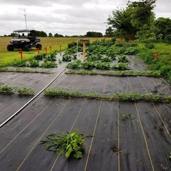 Geotextile Agriculture Production