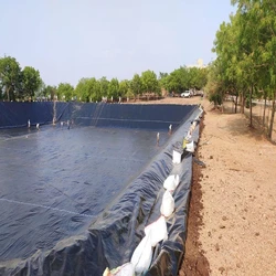 Geomembrane Fish Pond 