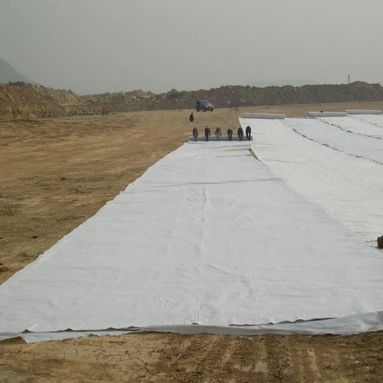 nonwoven-wetland-geotextile-2.webp