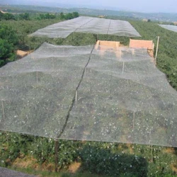 HDEP Plastic Lightweight UV Treaded Transparent Anti Hail Nets