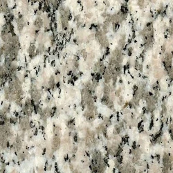 Laminated Fashionable Flat Edge Natural White Tiger Granite