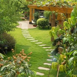 Services Garden Landscaping 