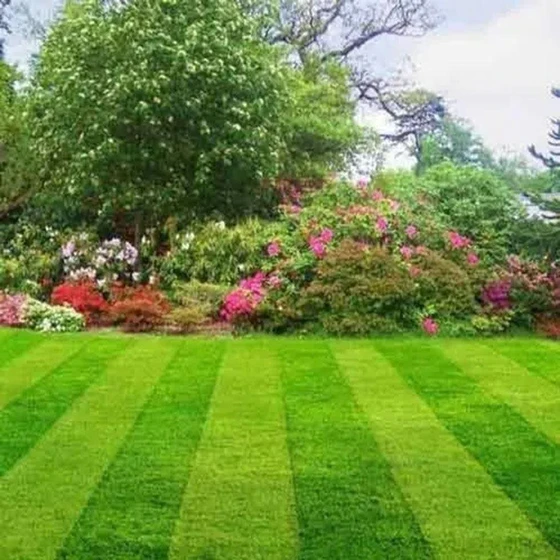grass-landscaping-services-2.webp