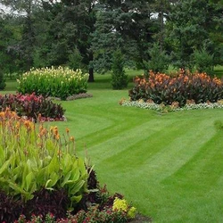 Services Grass Landscaping 