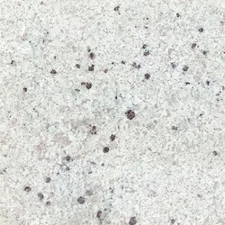 Kashmir White Granite Perfect Finish New Kashmir Granite