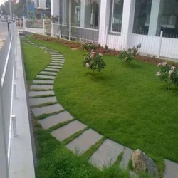 Development Services Garden 