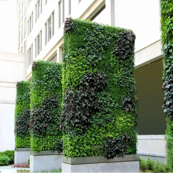 landscaping-vertical-garden-service-1.webp