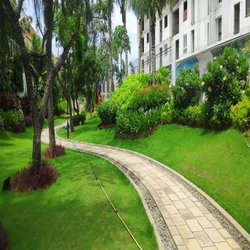 Landscape Green Services