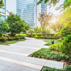 Commercial Services Landscaping 