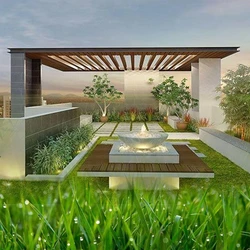 Garden Roof Top Services