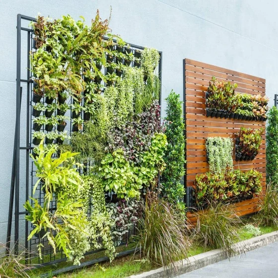 garden-vertical-landscaping-services-2.webp