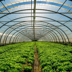 High Density Polyethylene Greenhouse Shade Net Online