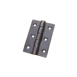 Cast Iron Hinges