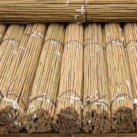 5ft Bamboo Sticks, 5 feet length, natural brown color