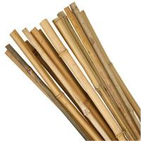 5ft Bamboo Sticks, 5 feet length, natural brown color