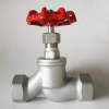 S-type 304 internal thread globe valve