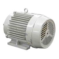 Ac motor