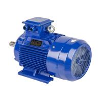 Ac Water Pump Motor, Cast iron unit, back chamber Image