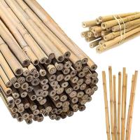 Agriculture Bamboo Stick, Strength, durability