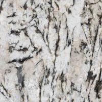 Delicate White Background Alaska White Granite Manufacturer