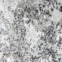 Delicate White Background Alaska White Granite Manufacturer