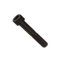 Premium Quality SS Allen Bolt Industrial Commercial Fasteners
