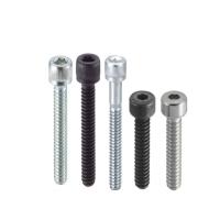 Premium Quality SS Allen Bolt Industrial Commercial Fasteners