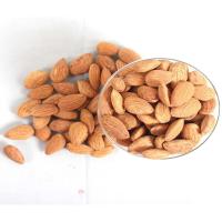 Almond Fresh Kernel Image