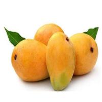 Alphonso Common Mangoes Image