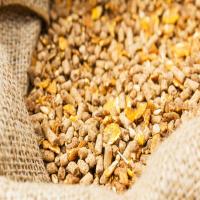 Animal Soya Bean Meal