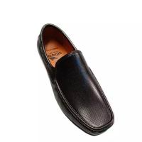 Apex Rainy Apex Rainy