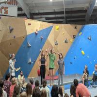 Artificial climbing boulders