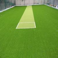 Artificial Sports Polyethylene Cricket Pitch, Blue
