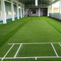 Astro Turf SportsWing Cricket Full Pitch, 9mm, 10mm