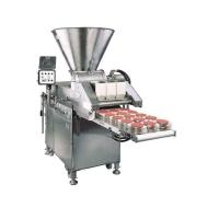 Automatic Food Processing Plants