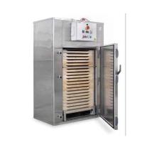 Automatic Tray Dryer