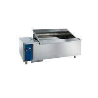 Automatic Vegetable Washer