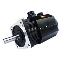 Automotive Servo Motor