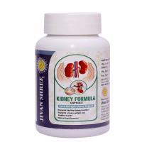 Ayurvedic Kidney Medicine