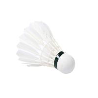 Badmintion Shuttlecock Image