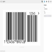 Barcode Inventory Generator Software, Real-time Image