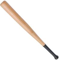 Baseballs Kids Bat