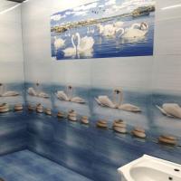 Vitrified Bathroom Tiles