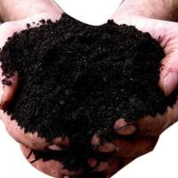 Bio Organic Manure