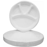 Biodegradable Paper Pulp