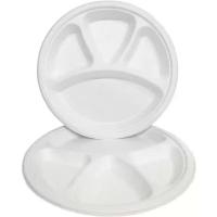 Biodegradable Paper Pulp