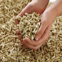 Biomass Wood Pellets