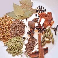 Premium Basic Blended Spices Biryani Masala Supplier