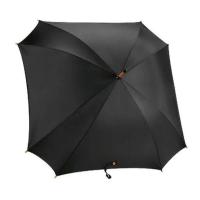 Black Square Umbrella Image