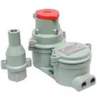 Blanking Flameproof Plugs